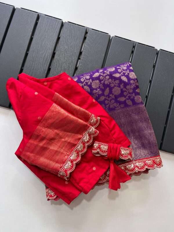 Jaal Weaving Banarasi saree