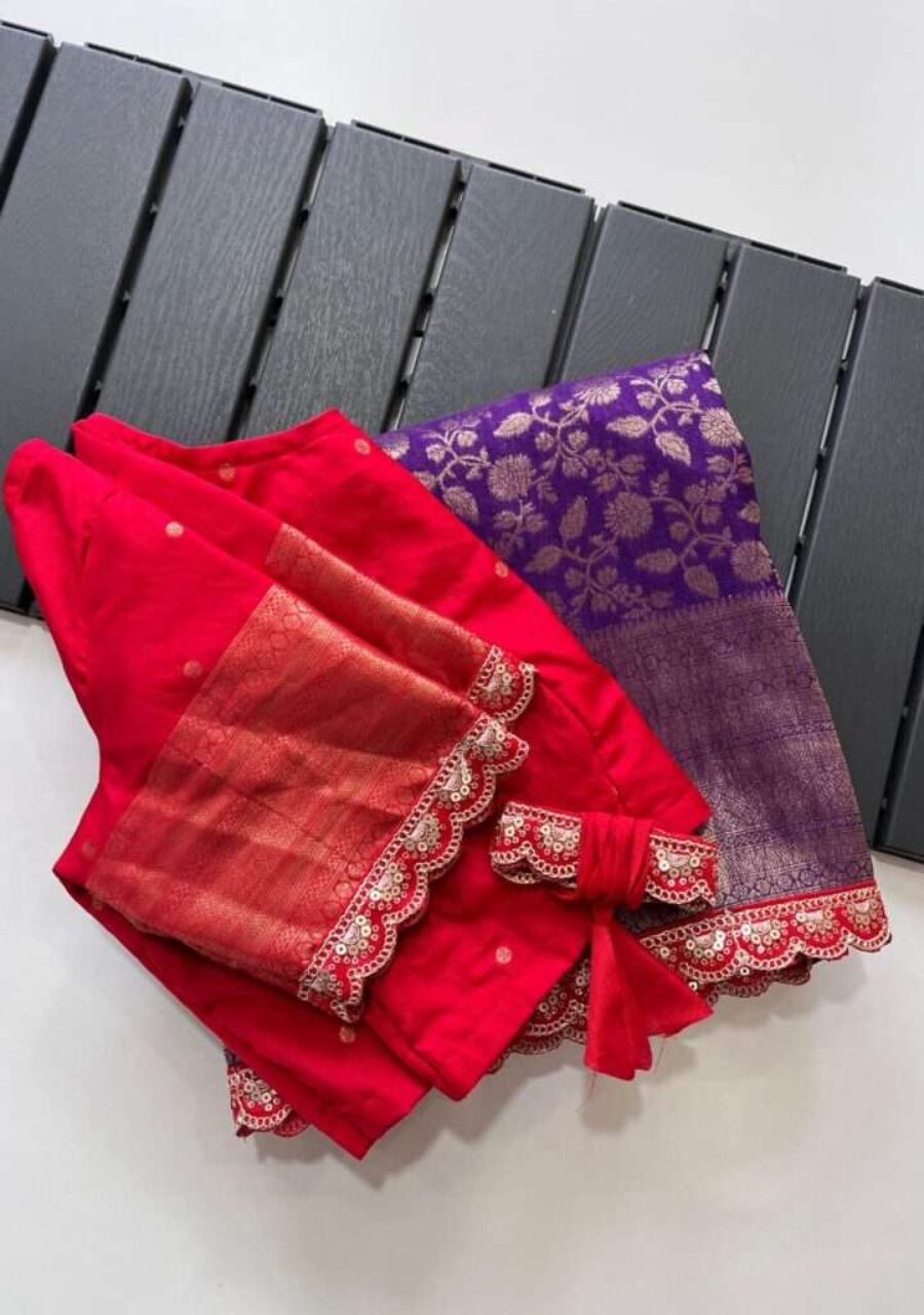 Jaal Weaving Banarasi saree